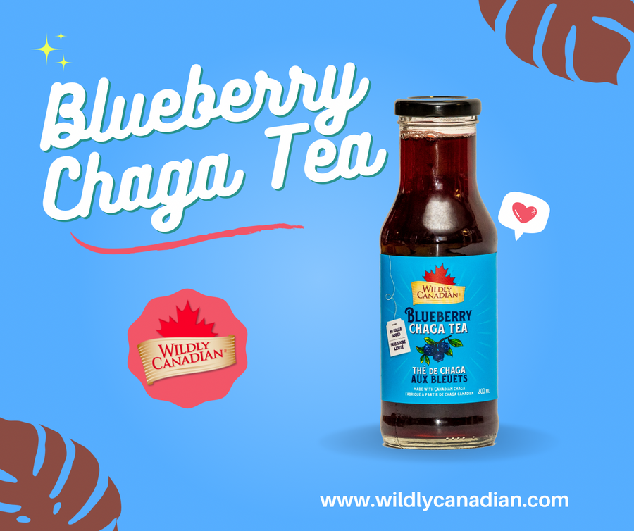 Blueberry Chaga Tea